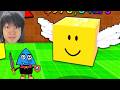 ROBLOX LIVE