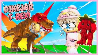ACIL & BOBA Memainkan Game Paling Viral Dan Mendapatkan Strawberry Elephant! - Steal An Egg Roblox
