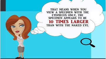 How to Calculate the Total Magnification of a Compound Microscope