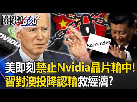 美即刻禁止Nvidia晶片輸中！ 習近平對澳「投降認輸」救經濟…中國重蹈蘇聯覆轍？【關鍵時刻】20231025-4 劉寶傑 黃世聰 姚惠珍 吳子嘉