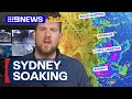 Sydney braces for more heavy rain after week of wet weather | 9 News Australia