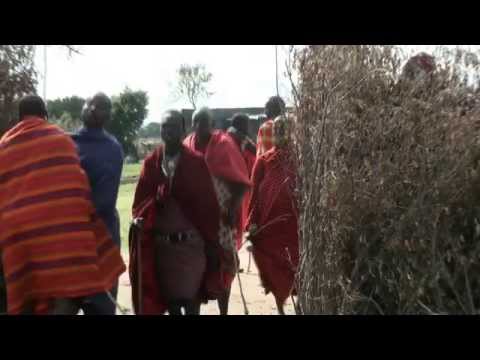 Masai Mara Kenya Africa 2015