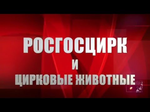 SOS – ветераны циркового искусства остались без средств на пропитание