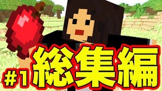 【総集編_1】なかじぃ。のマイクラ実況！超懐かし〜〜〜！