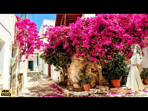 Estepona - The Most Flowery White Villages of Spain - The Most Flowery Places of Andalusia