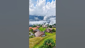 اكتب شي تؤجر عليه#سورة #الحشر #قرآن #السعودية #العراق #الجزائر #القرآن_الكريم #اليمن#مصر