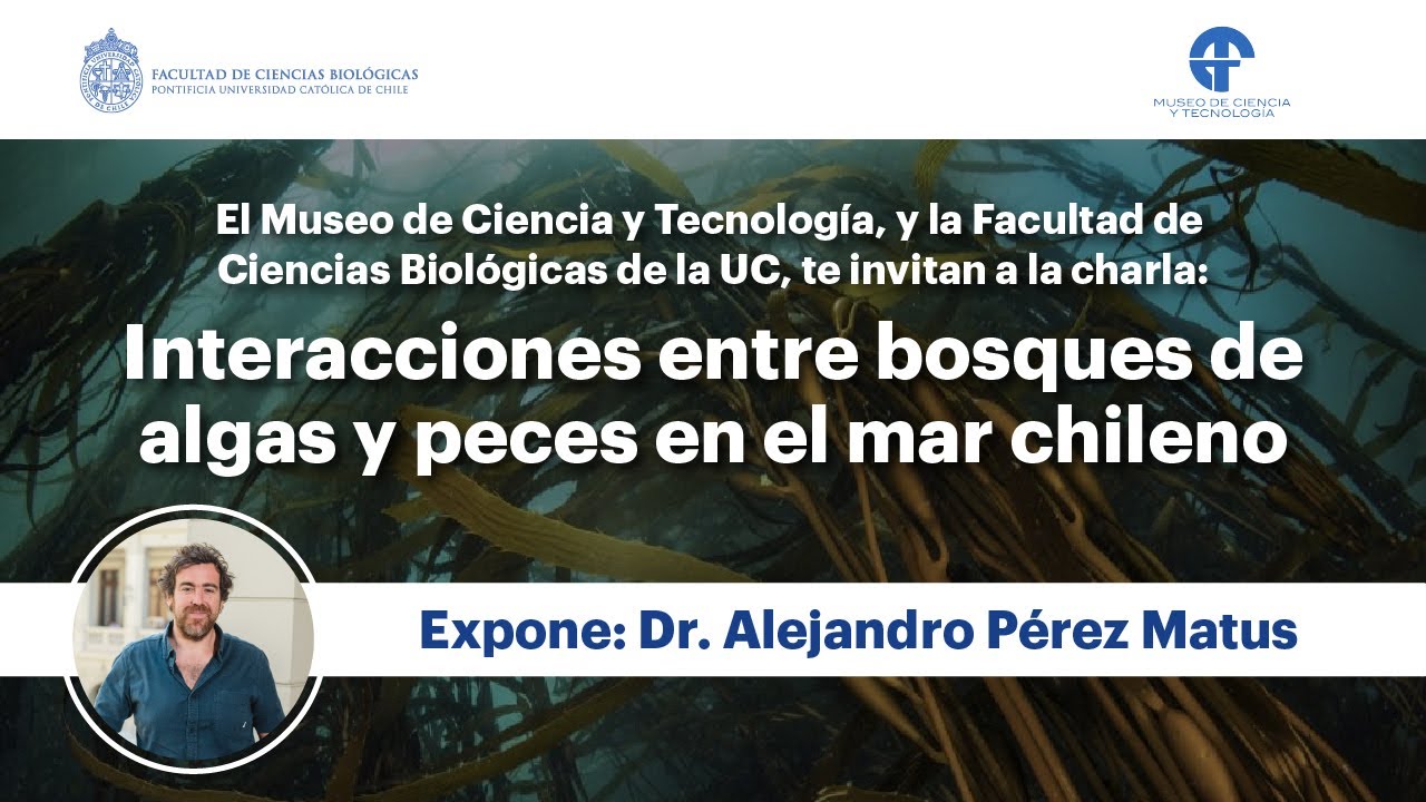 Interacciones entre bosques de algas y peces en el mar chileno