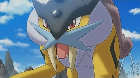 Raikou Pokemon all Attacks                        #pokemon #raikou #all #new #attacks #youtubevideo