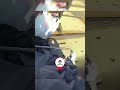Officer Saves Man In A Wheelchair