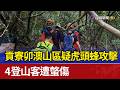 貢寮卯澳山區疑虎頭蜂攻擊 4登山客遭螫傷