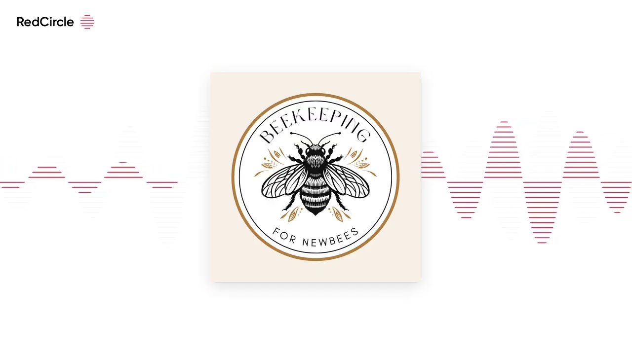 Episode 187 – The Bee Buzz (31): Winter Bee Activity and Early Spring Hive Checks 🐝