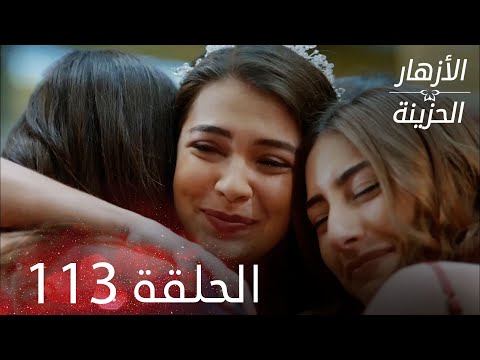الأزهار الحزينة الحلقة  كاملة الأخيرة  