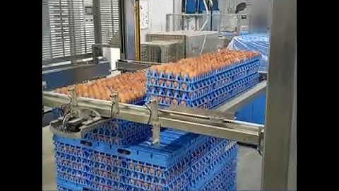The EggsCargoSystem® cooperates with all egg handling machines