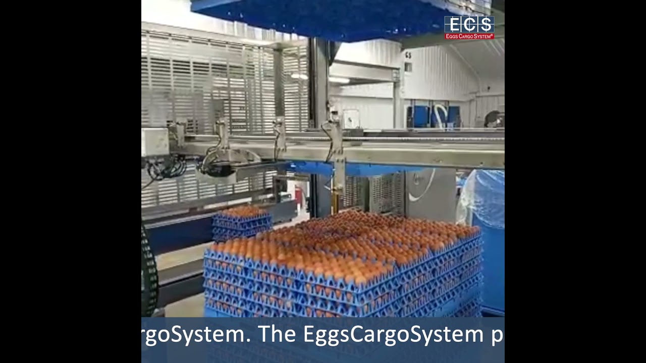 The EggsCargoSystem® cooperates with all egg handling machines