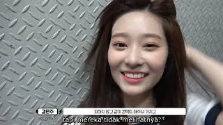 [INDOSUB] IZONE 에너지 캠 (ENOZI CAM) EP 19 by FAMS SUB
