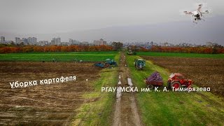 Уборка картофеля. РГАУ-МСХА им. К. А. Тимирязева