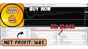 TrippaTrading AI EA (MT4) – Strategy Review, Backtest & Smart Trading Insights