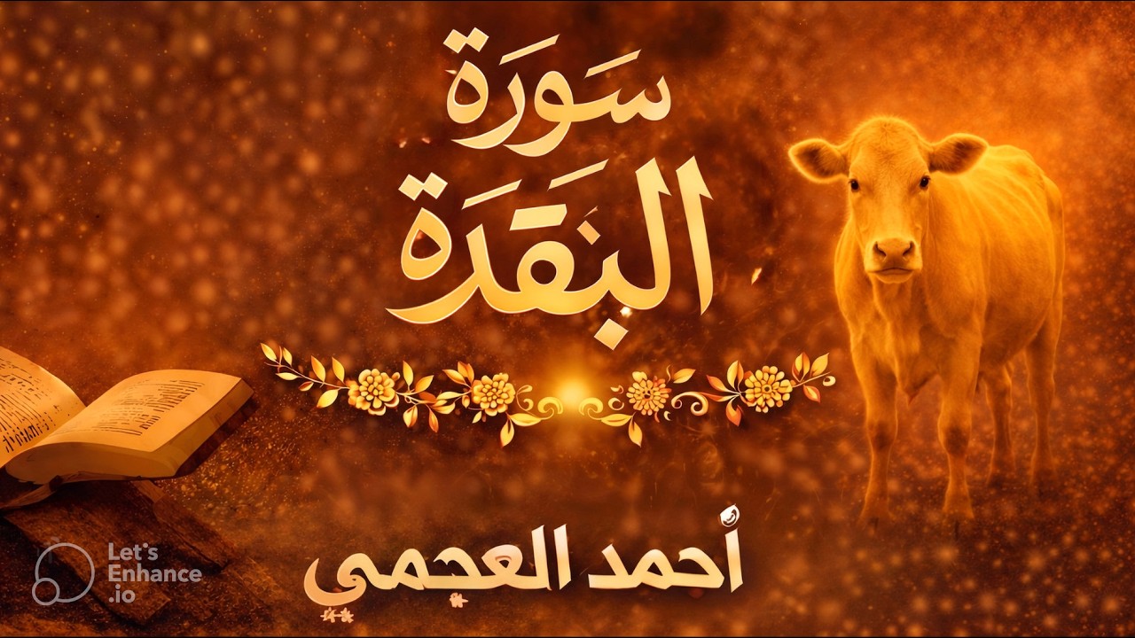 سورة البقرة تلاوة تبكي القلوب | احمد العجمي