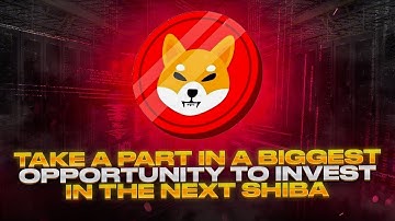 SteedToken - a unique token that creates an entire ecosystem around itself to bring people together