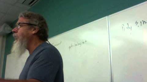 ENGL 2020 Tolkien/Rowling Lecture 2: Fellowship of the Ring