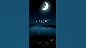 القارئ عبدالرحمن مسعد فلا تحسبن الله مخلف وعده رسله  #تلاوة_خاشعة  #قرآن #اكسبلور #راحة_نفسية