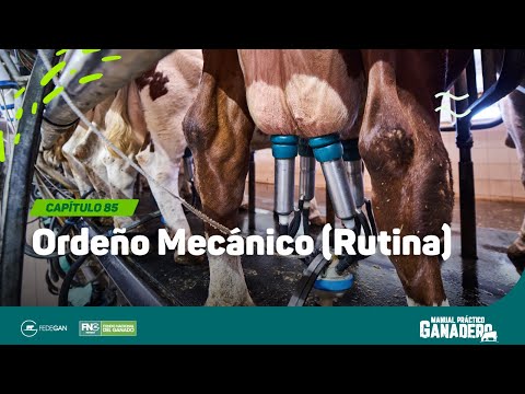 Cap 85 - Ordeño Mecanico (rutina) #manualpracticoganadero