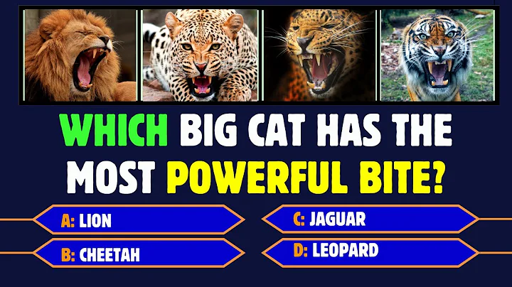 Watch the video about 🦁 Animal Quiz #3
