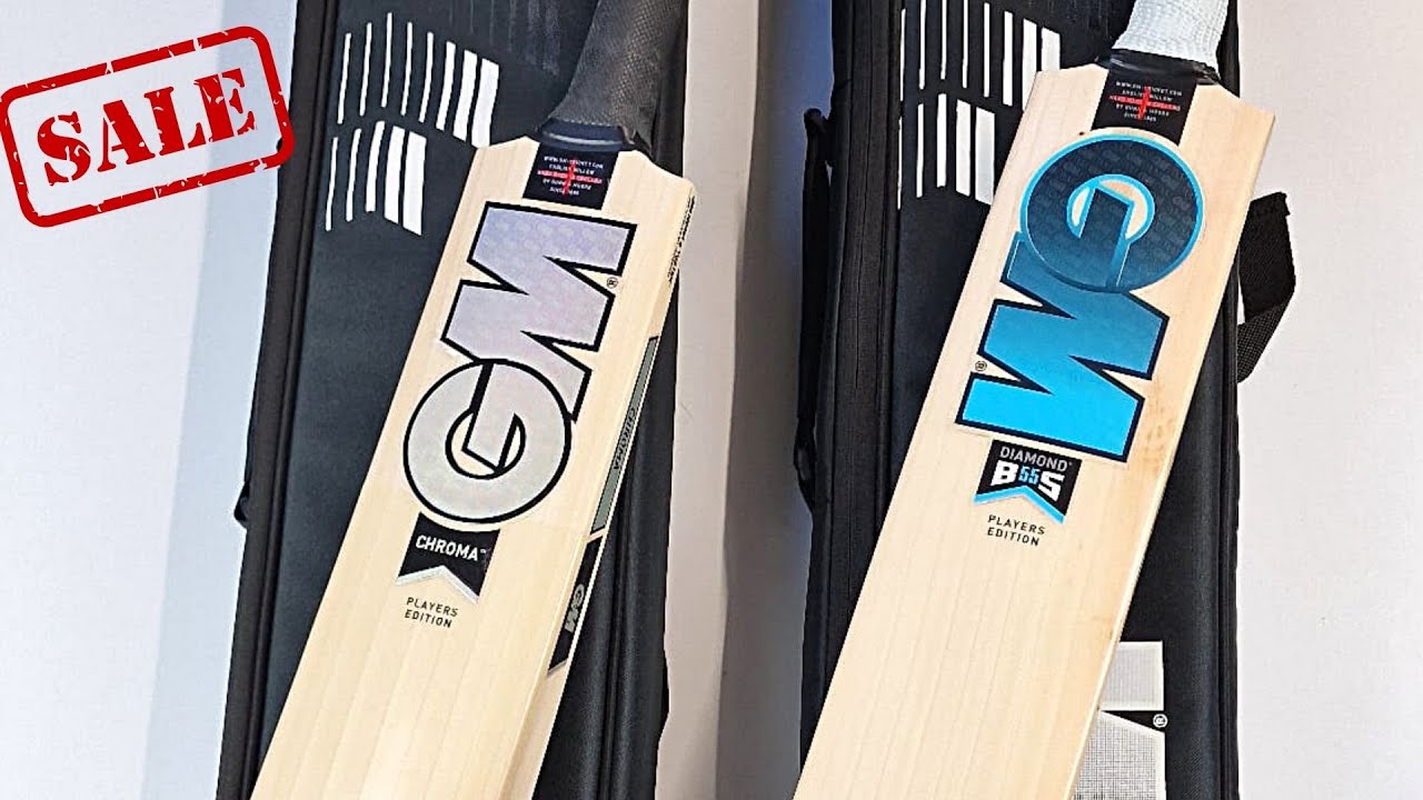 GM PLAYERS EDITION CRICKET BAT REVIEW YouTube