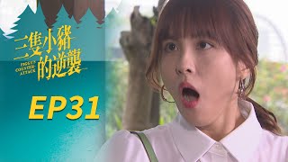 三隻小豬的逆襲 EP31 Piggy's Counterattack三立華劇