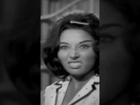 ابو الليف دولا مجانين اه من حواء