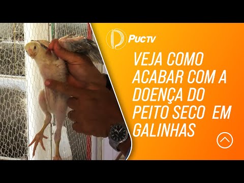 Vídeo: Pés de galinha, traquéias de carne e outras fontes naturais de glucosamina para cães