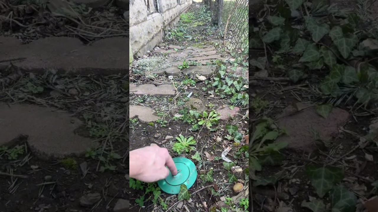 Why termite bait stations are an important part of your inspection process 🏠🤔💭 