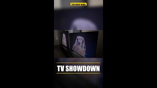 'There's life in the old dog yet': I compared a budget Hisense RGB TV and equivalent Samsung #Shorts