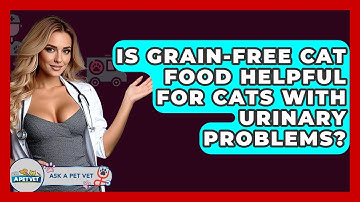 Is Grain-free Cat Food Helpful For Cats With Urinary Problems? - Ask A Pet Vet