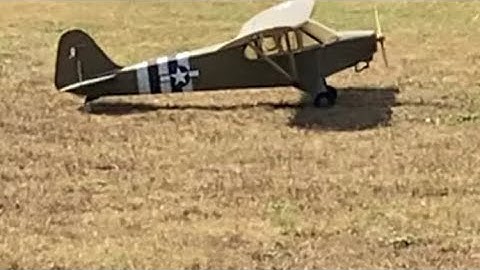 World Models Piper J3 Cub - Pilot Brian