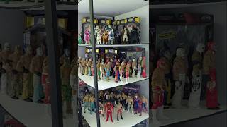My First Action Figure Shelf! #actionfigures #wwe