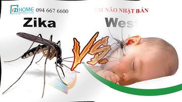 Cửa Lưới Chống Muỗi Giá Rẻ Tại Hà Nội IZI Home