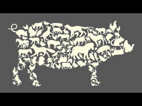 مزرعة الحيوان Animal Farm لـ George Orwell