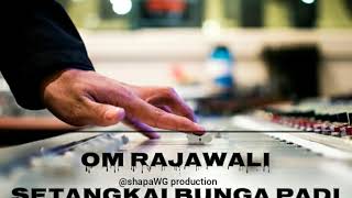 Om Rajawali Palembang  Setangkai Bunga Padi jernih Cocok Untuk Cek Sound System