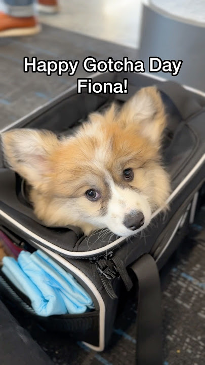 We love you Fiona!