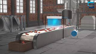Air Knife - How to dry vegetables - Supreme Air Products