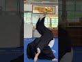 Aikido at TWG - Practice for Embukai