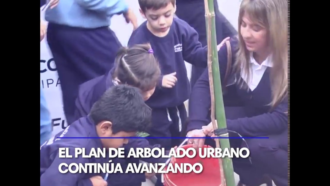 TODOS LOS DÍAS UN PASO ADELANTE - 1 concordia university canada ranking