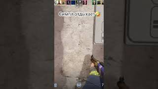 КАК?? ПРОСТО КАК?? #game #cs2 #csgo #девушкавксго #стрим