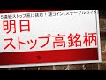 【明日、ストップ高銘柄をご紹介いたします✨✨】謎の材料！ステーブルコイン銘柄に注目が集まります！　#毎日投稿　#投資　#お金　#FX　#株式投資　#資産運用　#ステーブルコイン
