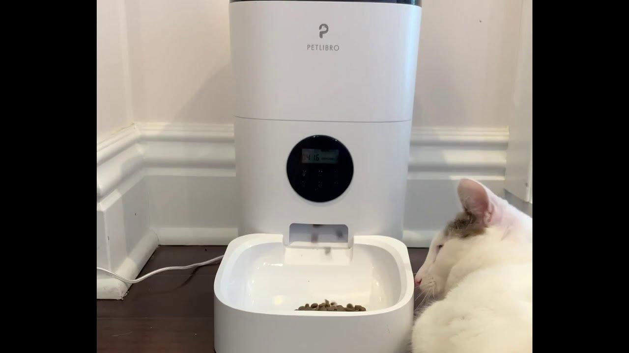 PETLIBRO Essential Automatic Feeder Solving Your Feeding Problems