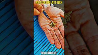 MinedI Mined 1 Kilo of Gold Using My Homemade Tool