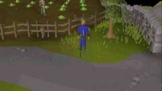 Holiday Items 07 Runescape