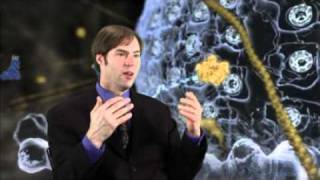 Is Intelligent Design Science?