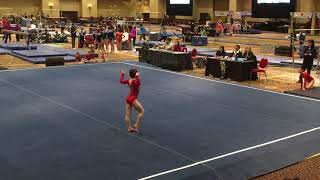 2017 level 7 age 9 floor (Pikes Peak Cup)